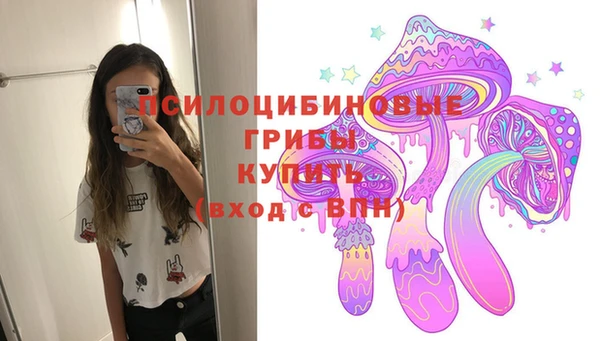 соль ск Аркадак